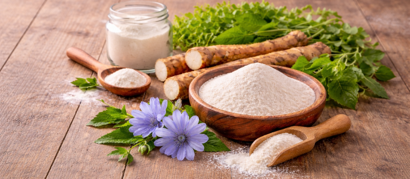 Chicory Inulin